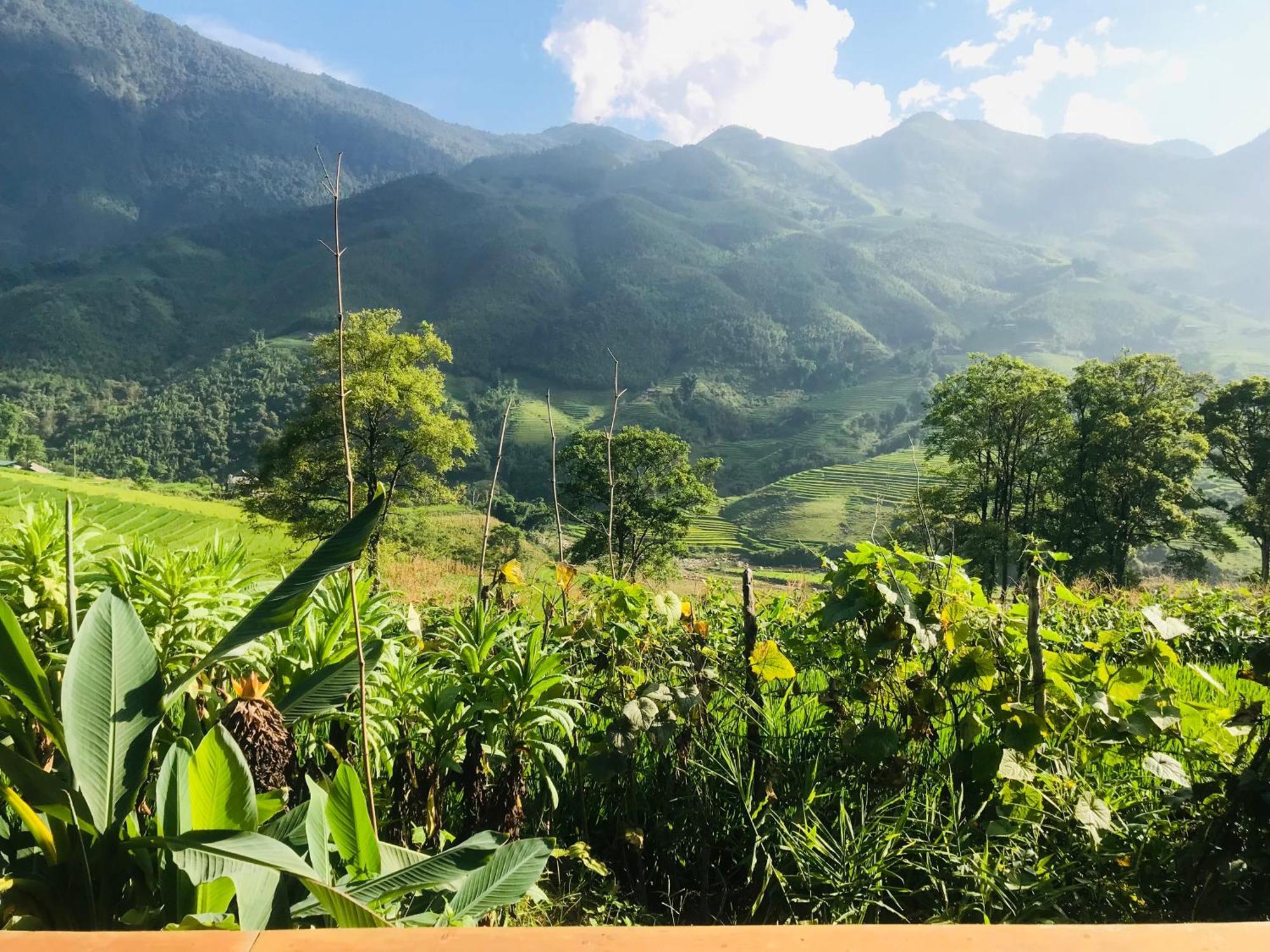 Sapa Hmong Bungalow Homestay Quarto foto